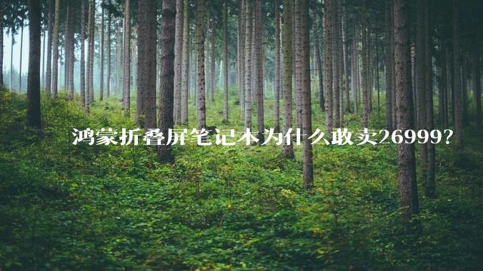 鸿蒙折叠屏笔记本为什么敢卖26999？