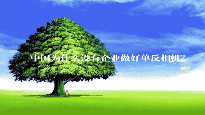 中国为什么没有企业做好单反相机？