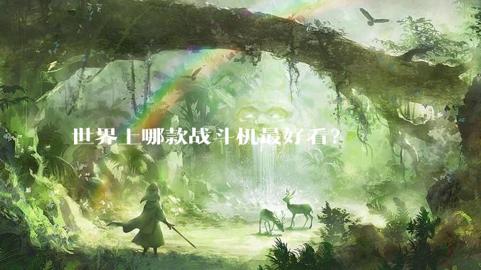世界上哪款战斗机最好看？